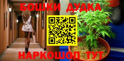 стафф Новозыбков