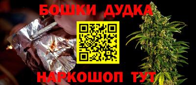индика Новокубанск