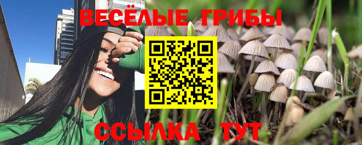 цены наркотик  Вход с VPN  Галлюциногенные грибы Cubensis  Черкесск  Галлюциногенные грибы мицелий 